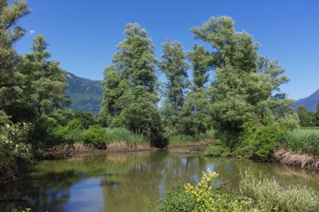 Bolle di Magadino (CH)